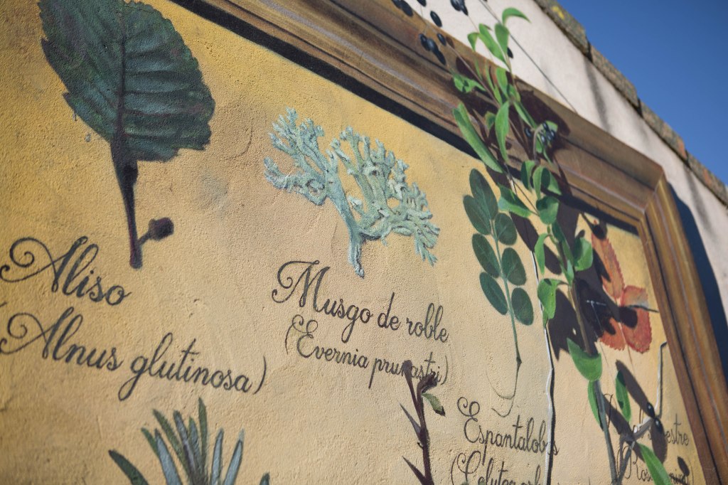 sr-moman-mural-plantas-detalle-1