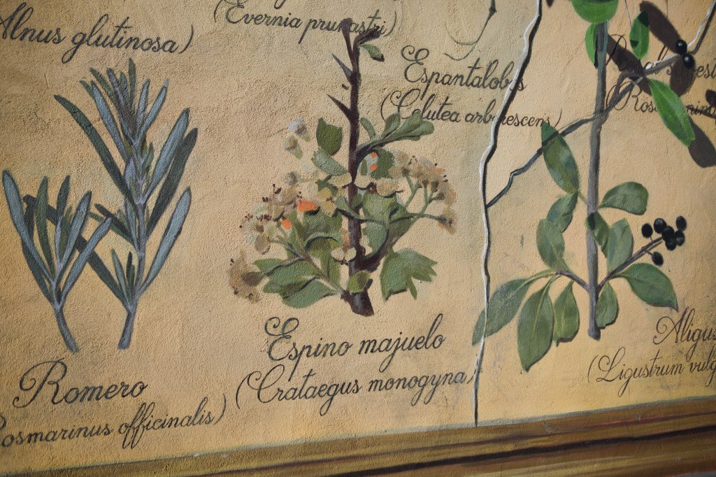 sr-moman-mural-plantas-detalle-2