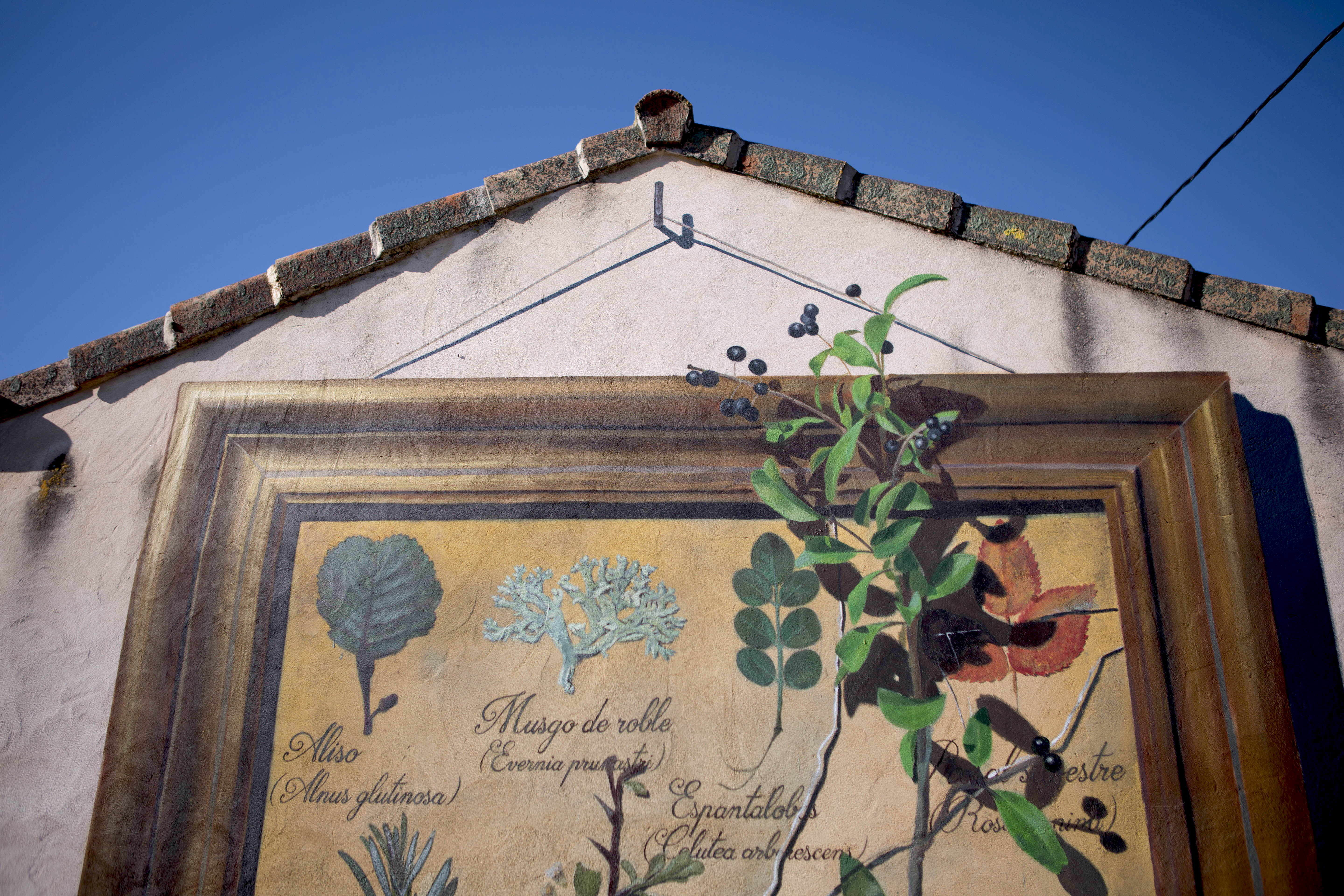 sr-moman-mural-plantas-detalle-3