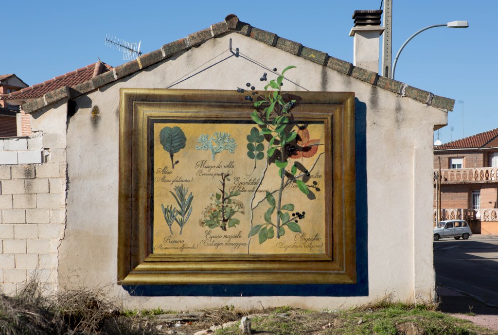 sr-moman-mural-plantas-terminado