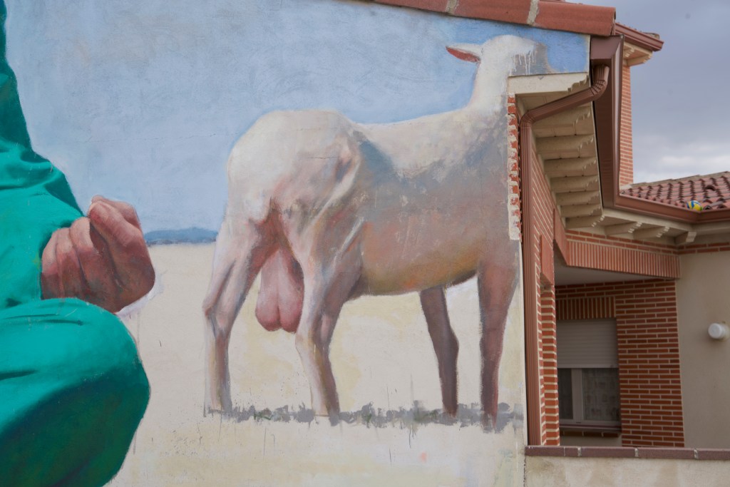 roman linacero sr moman pastor3