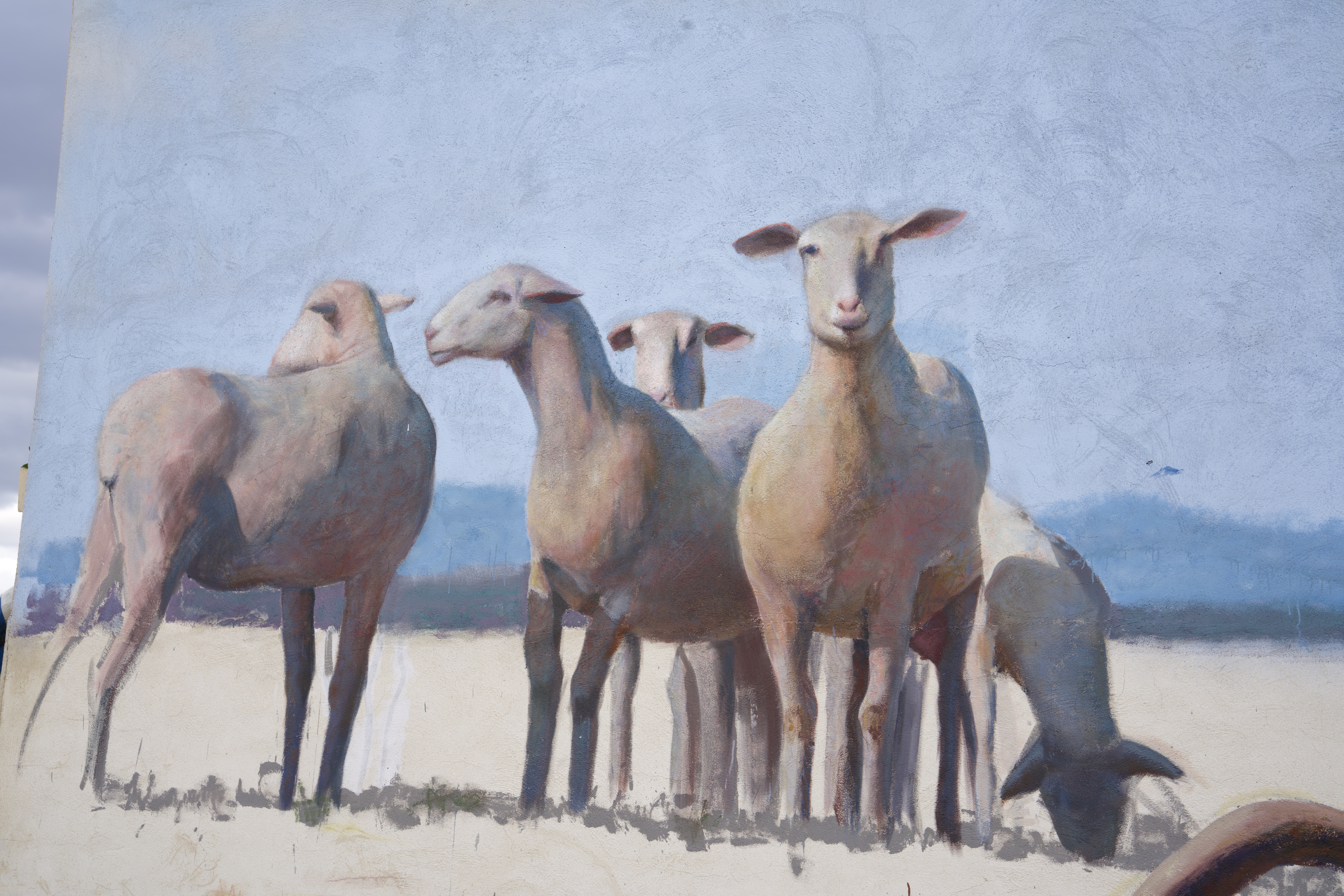 roman linacero sr moman pastor4