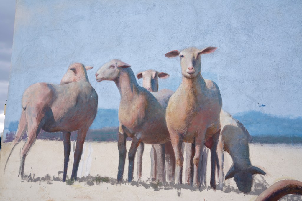 roman linacero sr moman pastor4